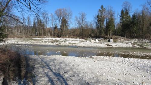 IMG 9887
