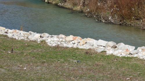 IMG 9910